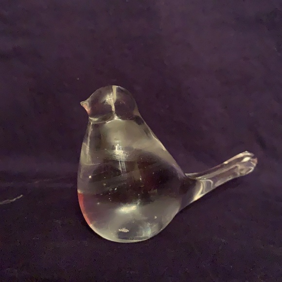 Bird - Picture 1 of 5